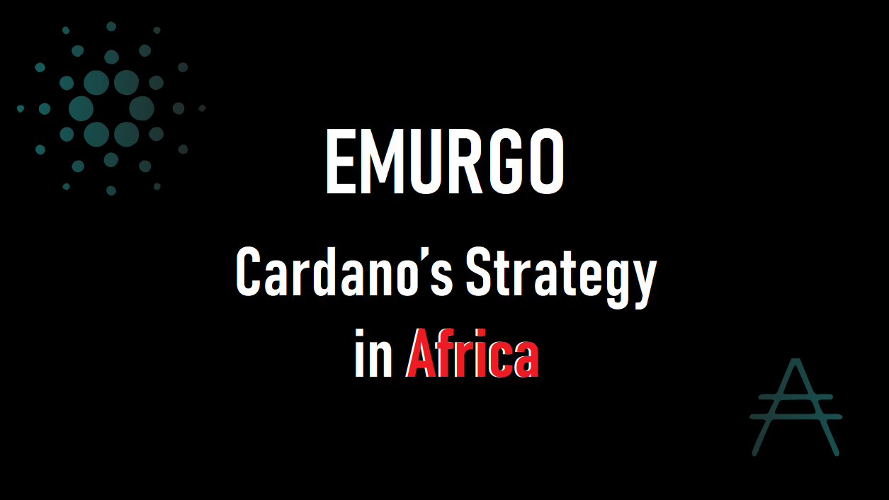 EMURGOブログ更新！アフリカにおけるカルダノの戦略とは？和訳文
